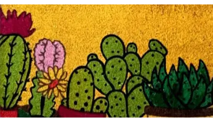 SCALINO CACTUS 1