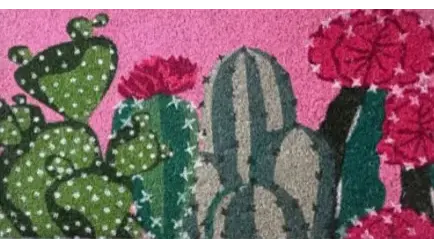 SCALINO CACTUS 2