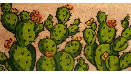 SCALINO CACTUS 3