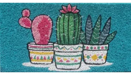 SCALINO CACTUS 4