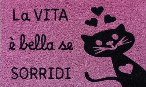 GATTINO NERO 1