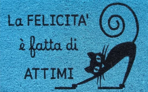 GATTINO NERO 2