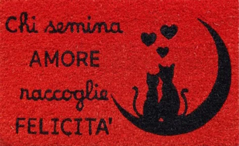 GATTINO NERO 3