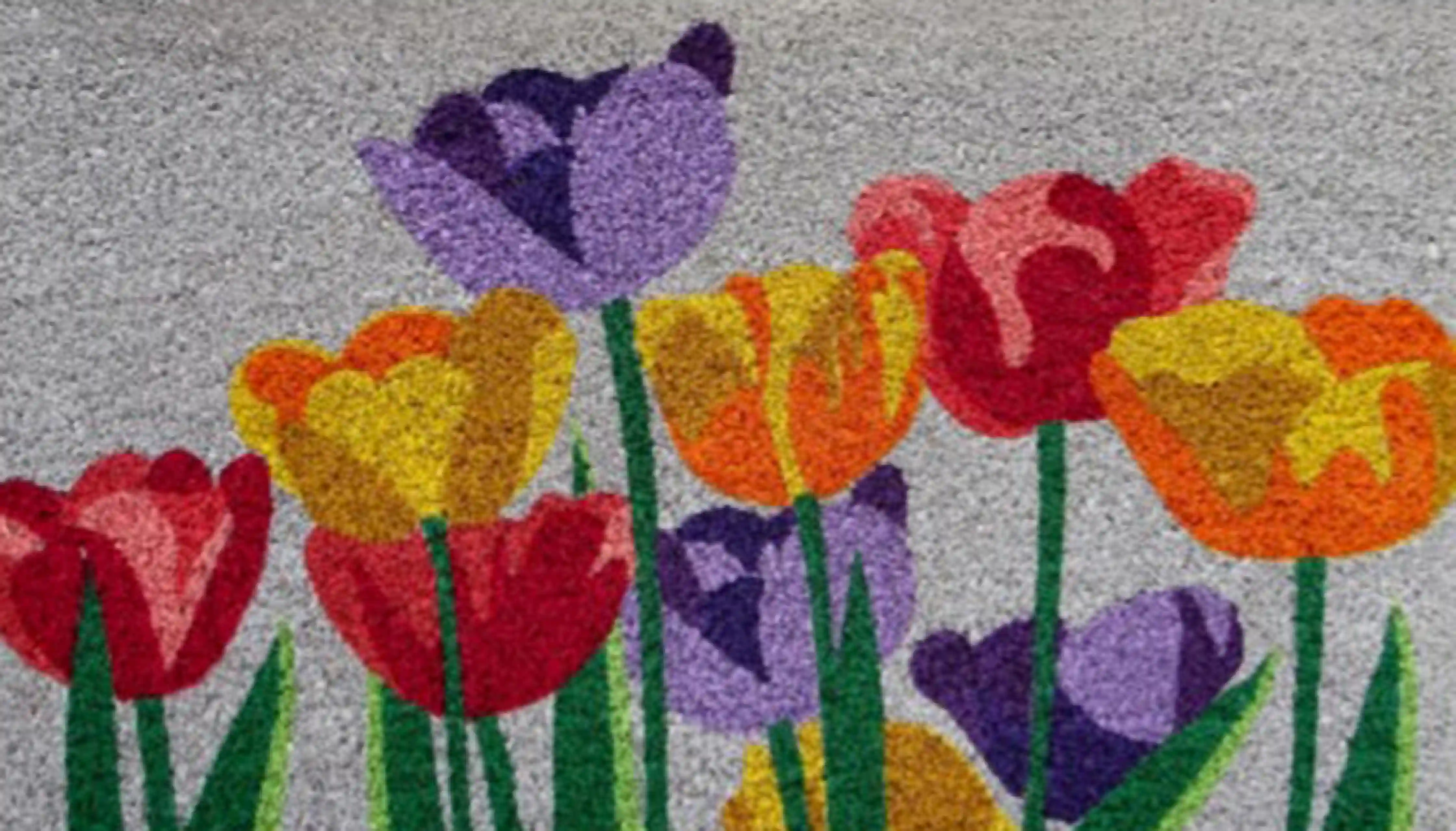 FIORI 1