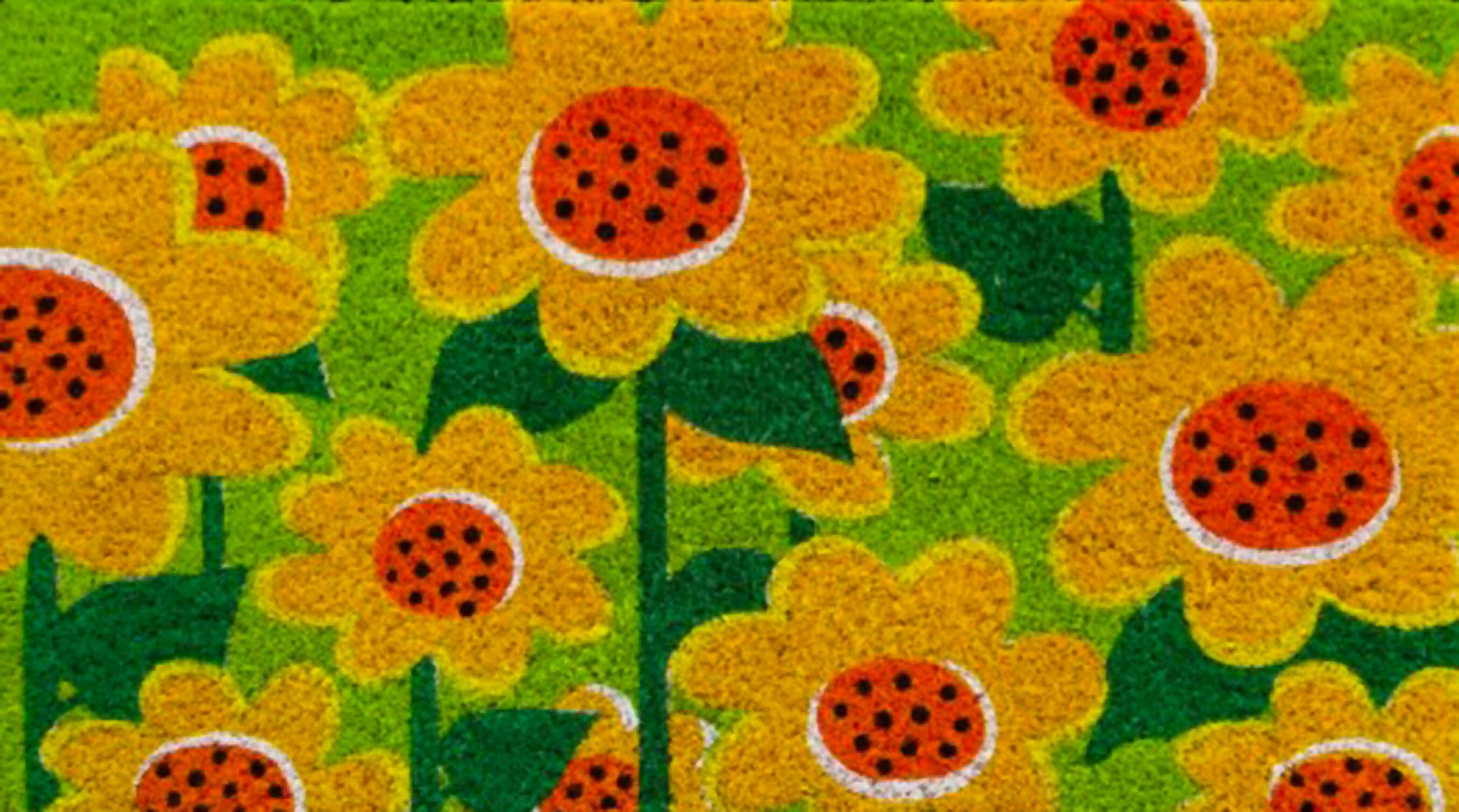 ESPLOSIONE FLOREALE 4