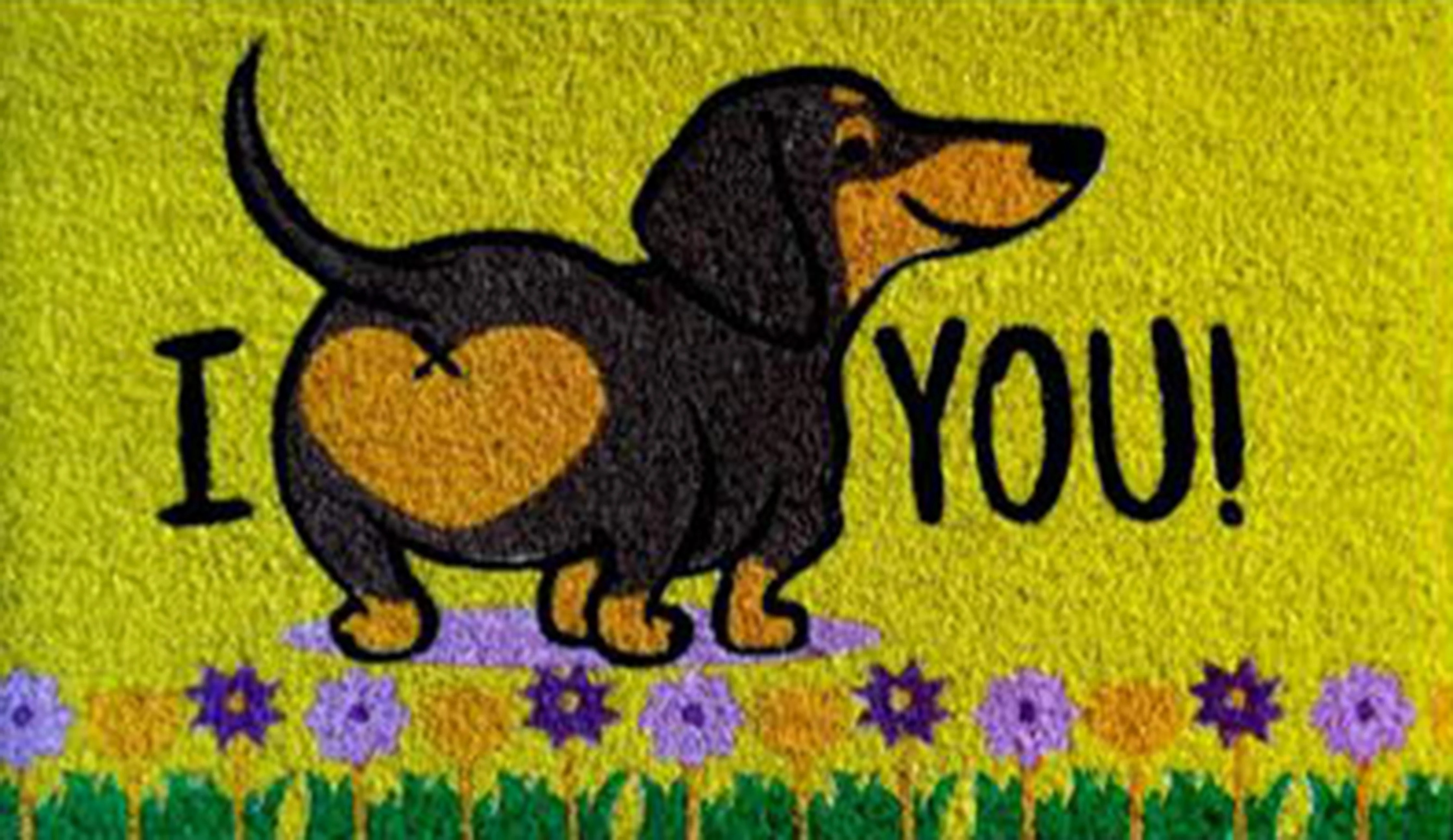 DOGS 1