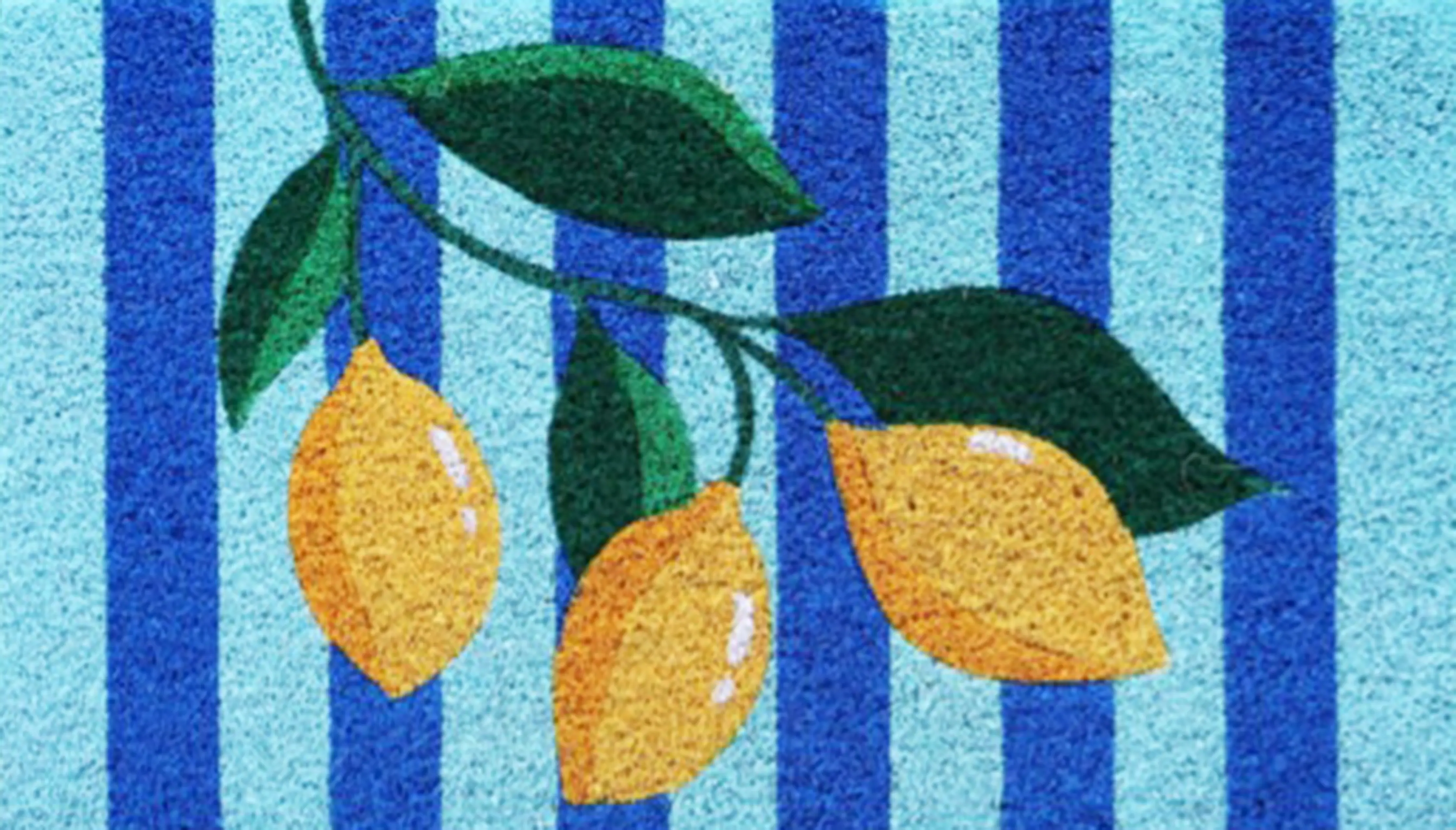 FRUTTA A RIGHE 3
