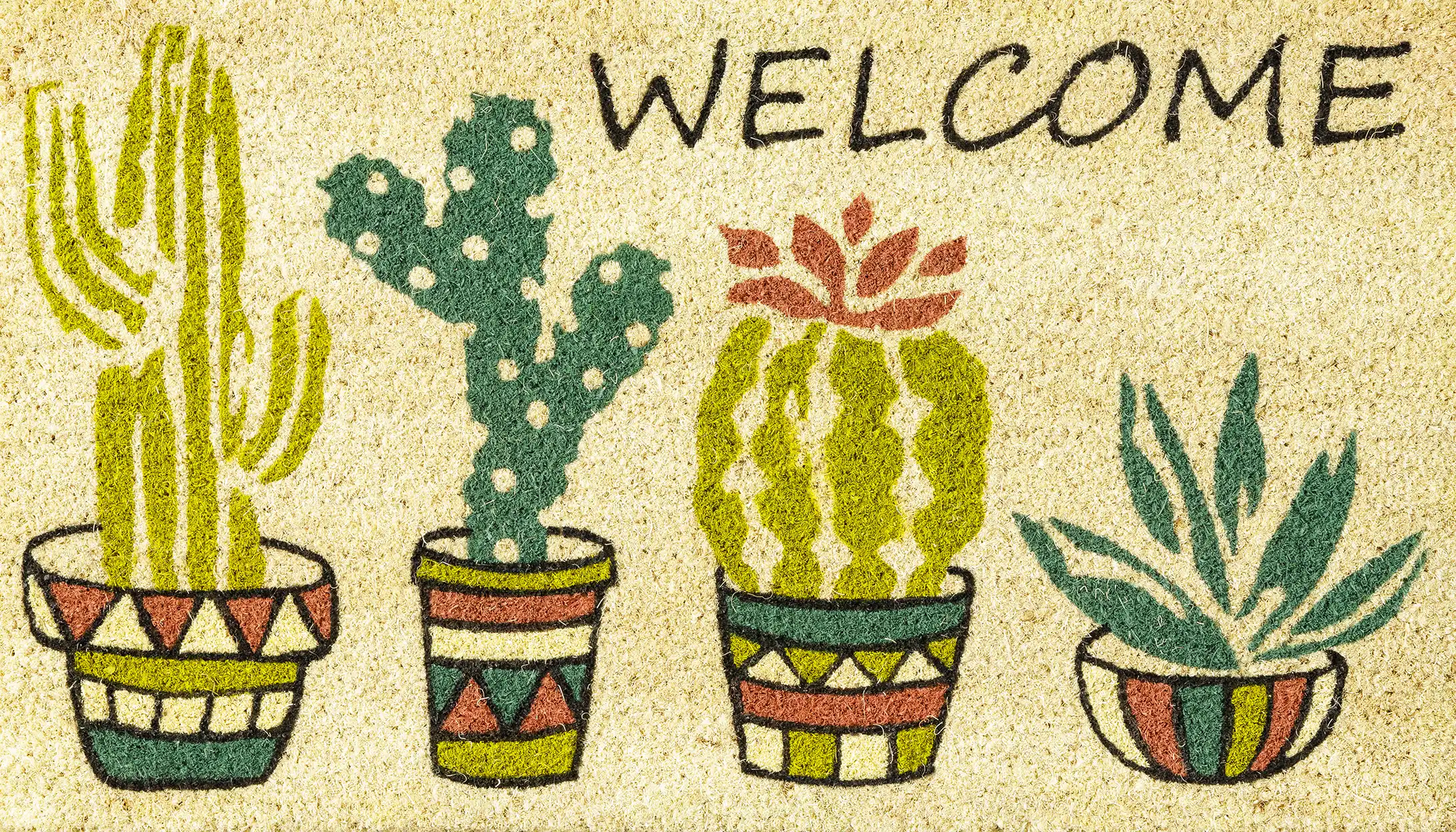 CACTUS WELCOME 6