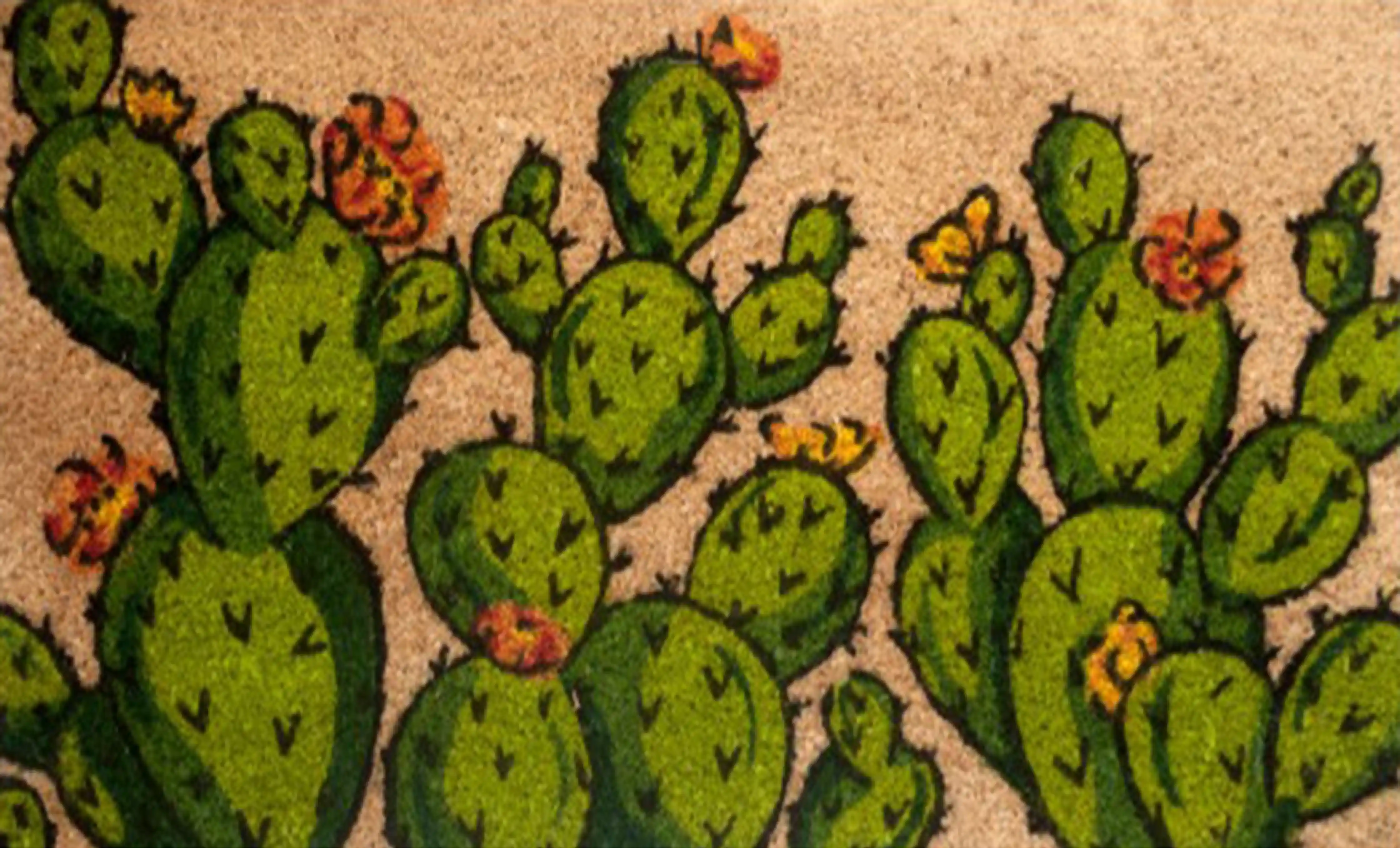 CACTUS WELCOME 2