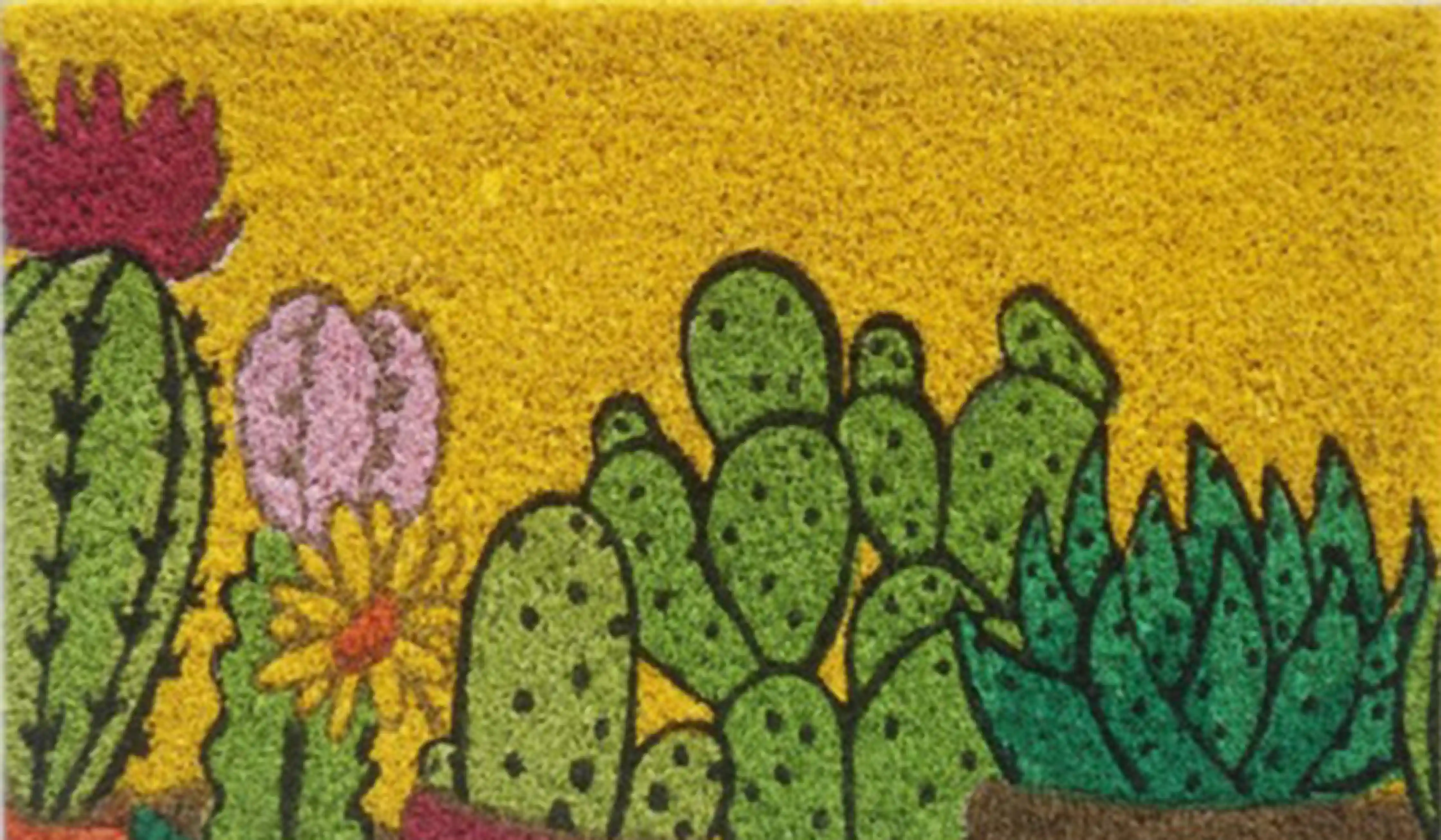 CACTUS 5