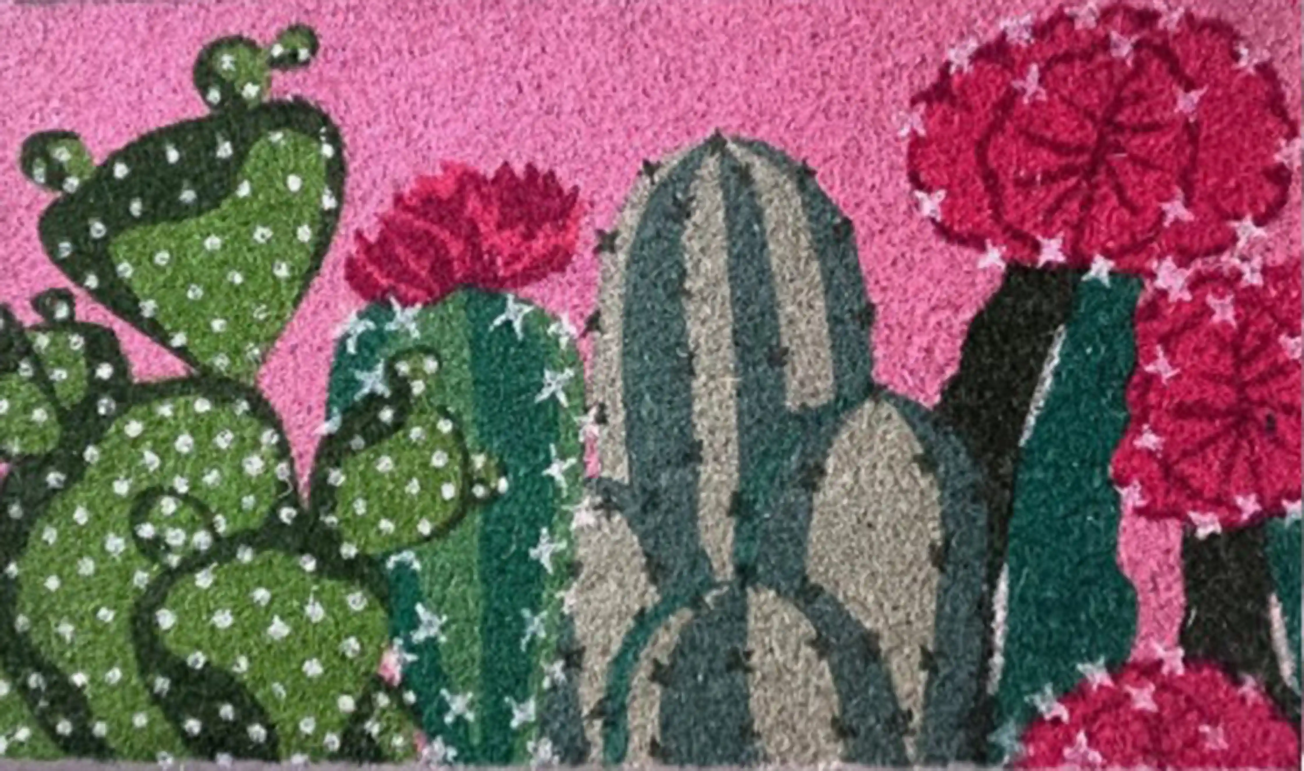 CACTUS WELCOME 3