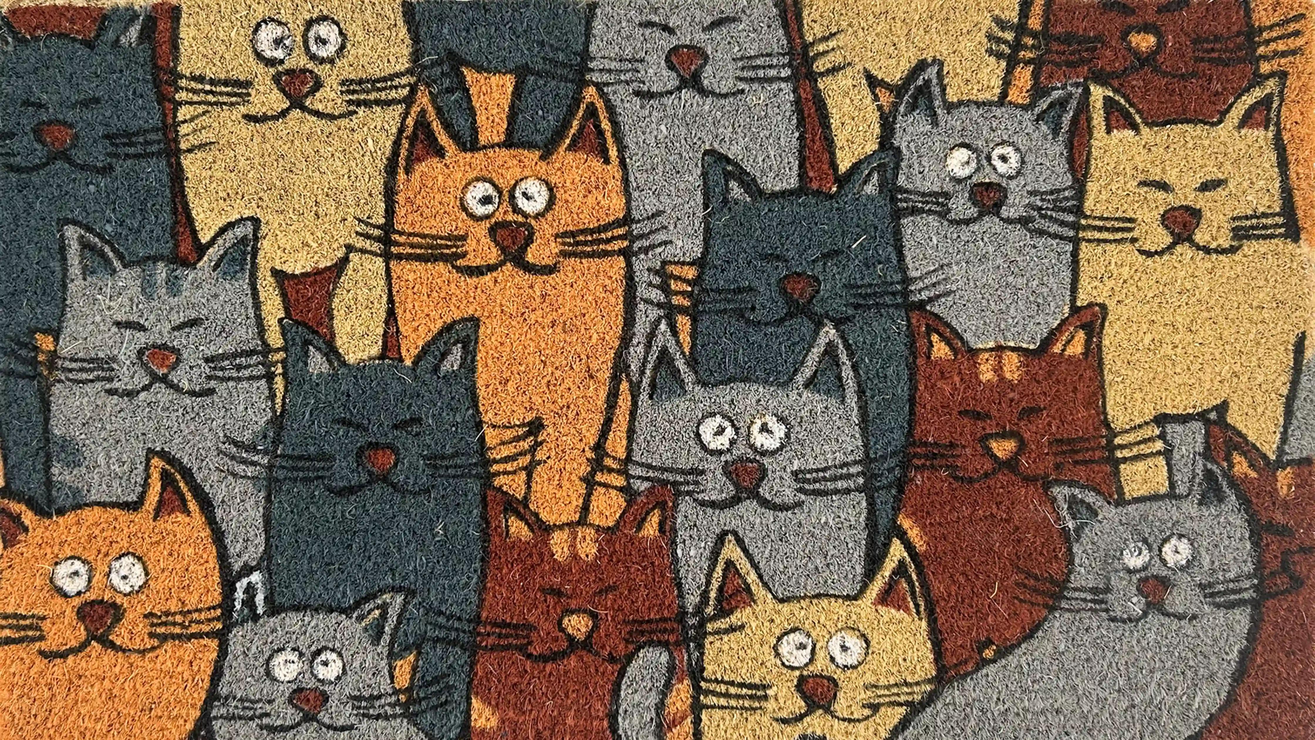 MONDO GATTO 1