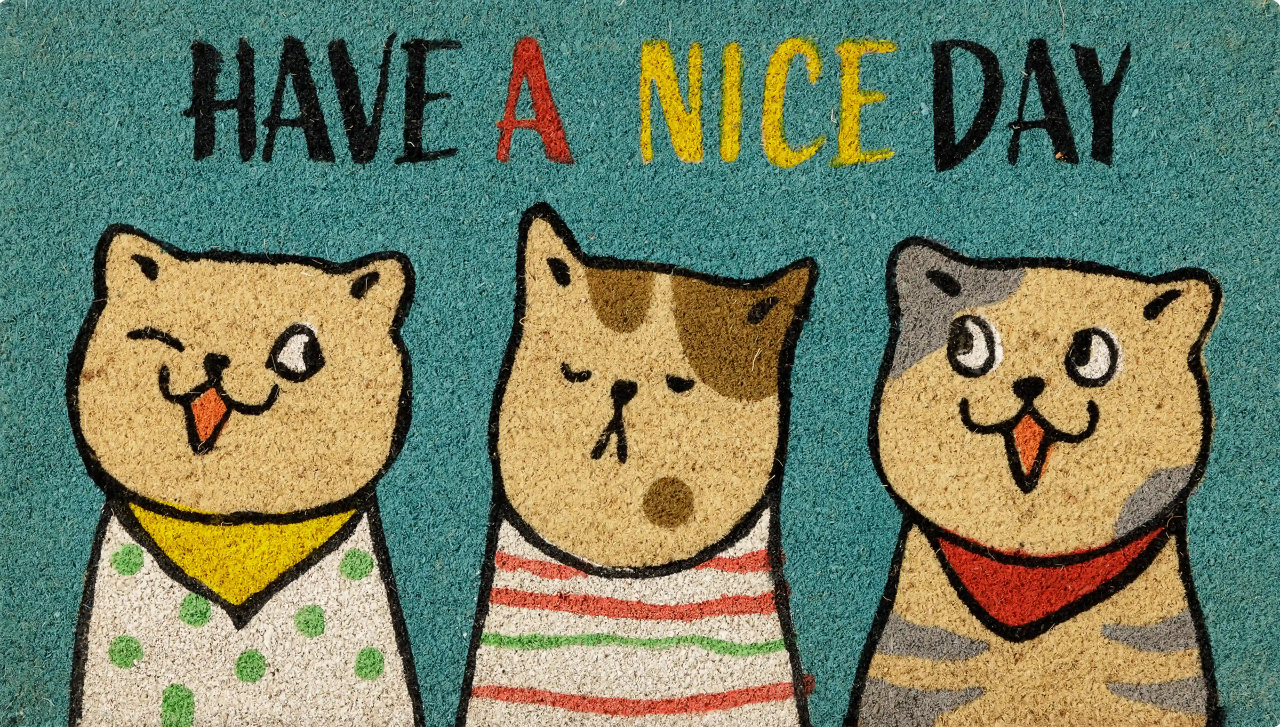 MONDO GATTO 5