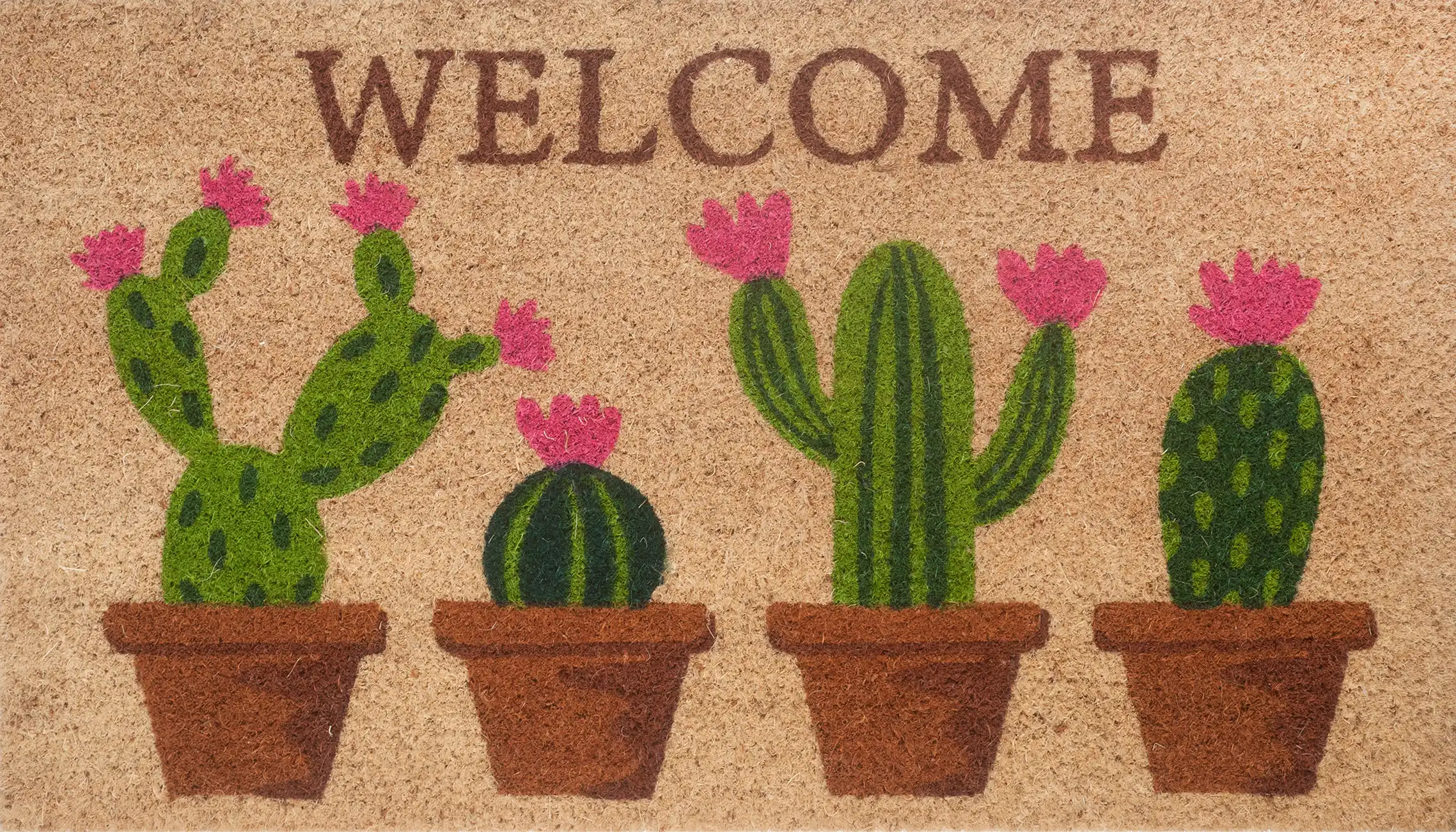 CACTUS WELCOME 1